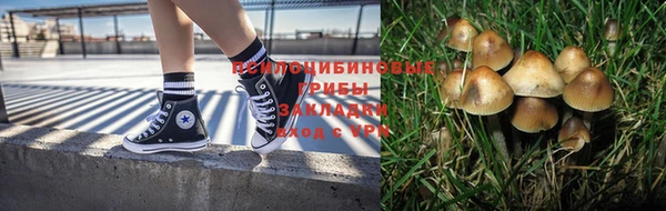 каннабис Алексин